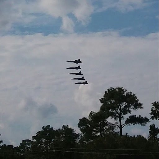 Performing Arts Theater «Little Theatre-Virginia Beach», reviews and photos, 550 Barberton Dr, Virginia Beach, VA 23451, USA