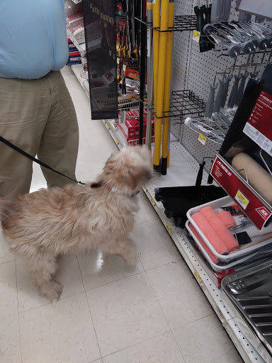 Hardware Store «Ace Peninsula Hardware», reviews and photos, 12490 Warwick Blvd, Newport News, VA 23606, USA