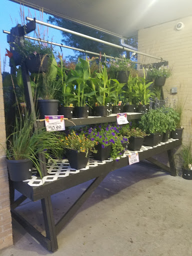 Discount Store «Ocean State Job Lot», reviews and photos, 25 Hazard Ave, Enfield, CT 06082, USA