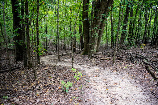 Wooded Trail System at Union University