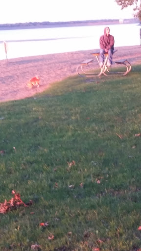 Tourist Attraction «West Branch State Park Beach», reviews and photos, Esworthy Rd, Ravenna, OH 44266, USA