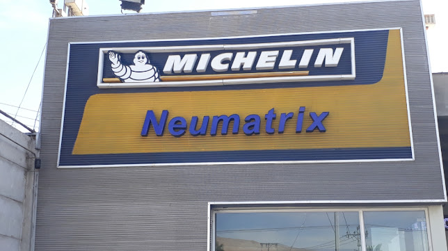 Michelín Neumatrix