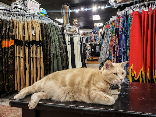 Used Clothing Store «iconoCLAD», reviews and photos, 414 300 S, Salt Lake City, UT 84111, USA