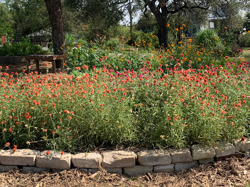 Mahncke Park Community Garden image 2