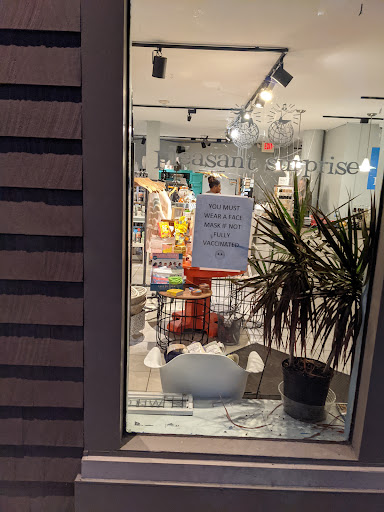 Gift Shop «Pleasant Surprise», reviews and photos, 297 Thayer St, Providence, RI 02906, USA