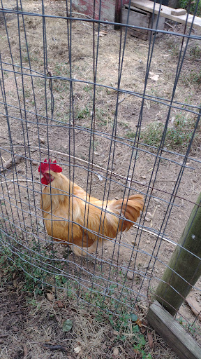 Produce Market «Highland Orchards Farm Market», reviews and photos, 1431 Foulk Rd, Wilmington, DE 19803, USA