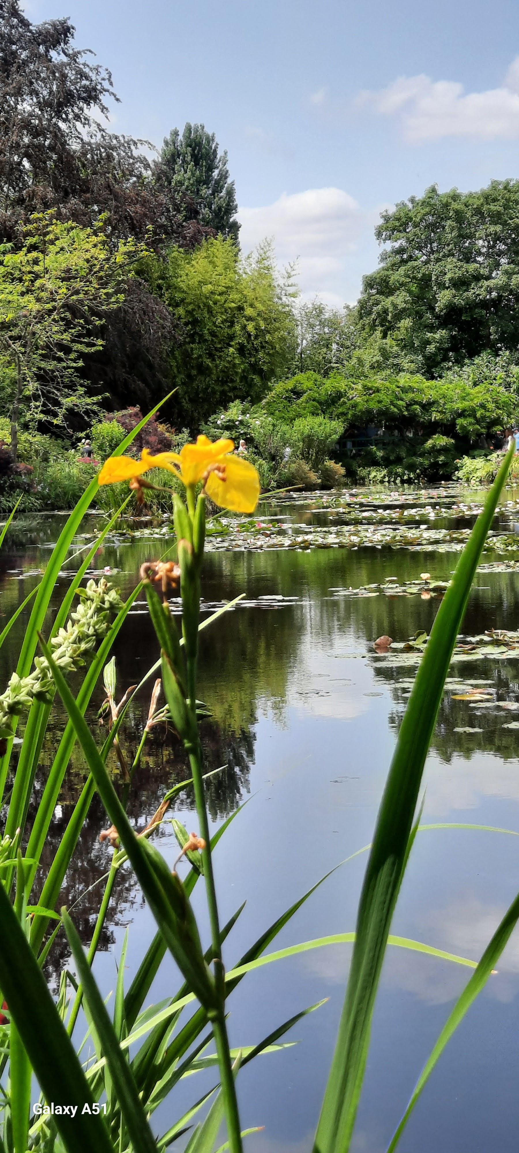 Photo n° 1 de l'avis de Evelyne.o fait le 14/07/2023 à 11:43