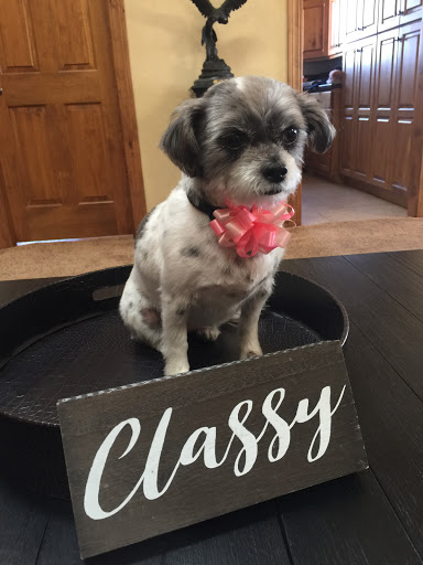 Happy Tails Pet Salon