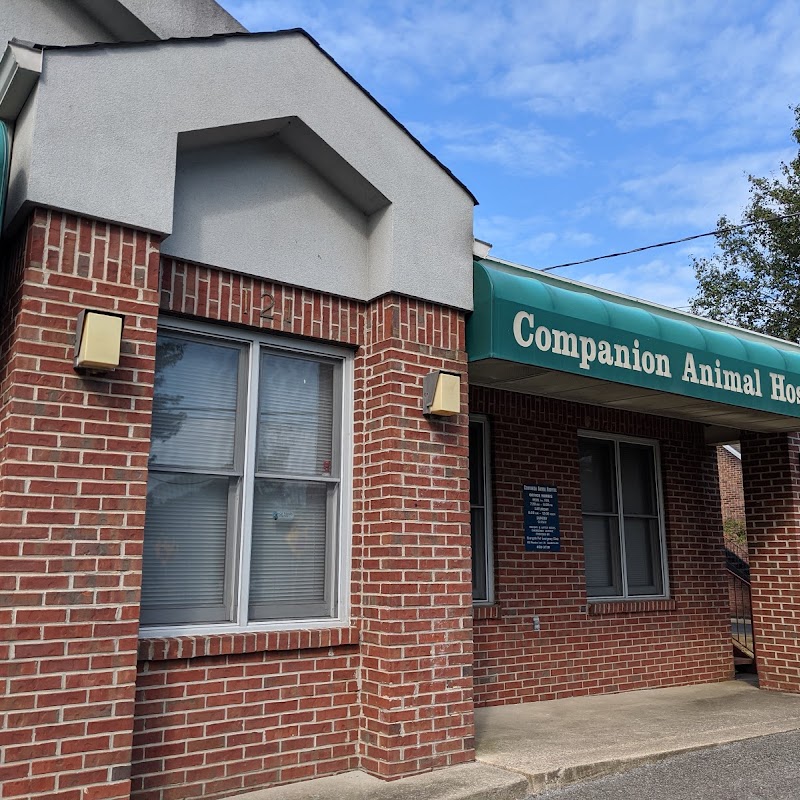 Companion Animal Hospital