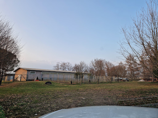 Pensioni per cani e dog hotel a L'olimpo