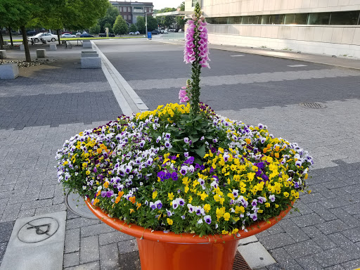 Art Museum «Virginia Museum of Fine Arts», reviews and photos, 200 N Blvd, Richmond, VA 23220, USA