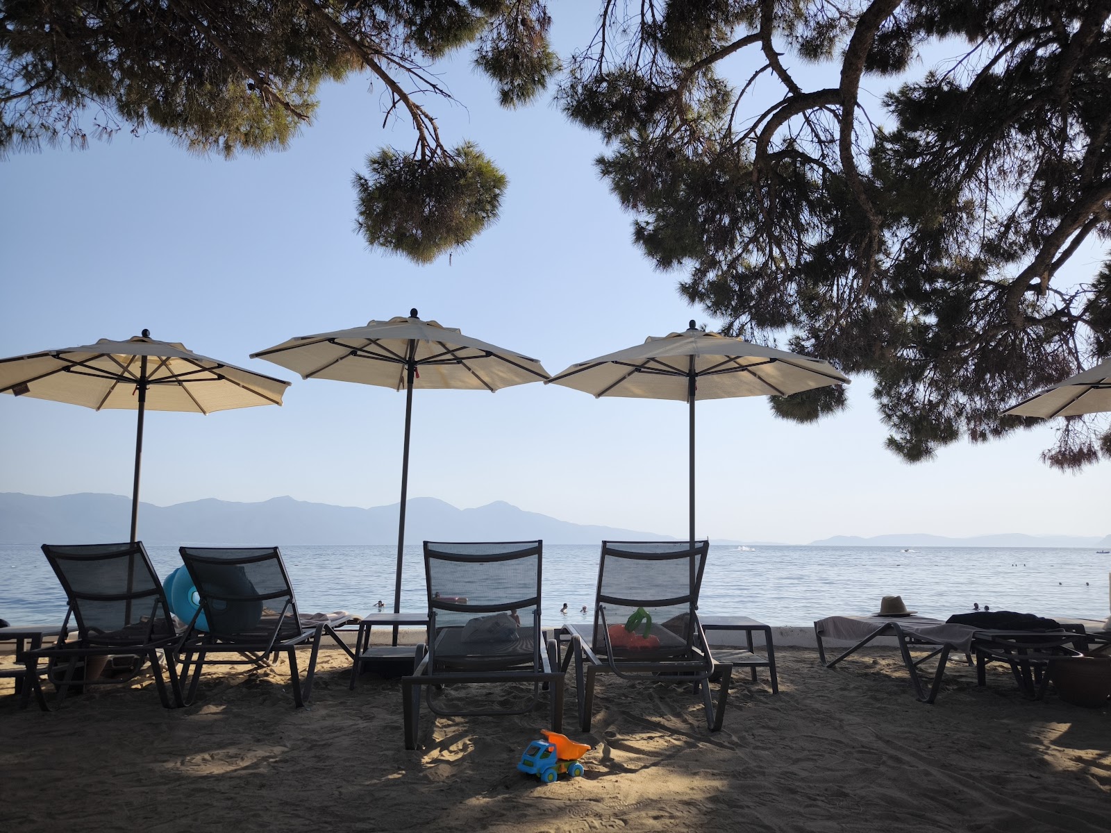 Ömer Holiday Resort Plajı'in fotoğrafı otel alanı