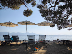 Ömer Holiday Resort Plajı'in fotoğrafı otel alanı