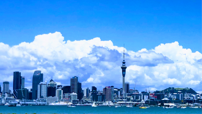 Reviews of 朋友驾校 Friends Driving School in Auckland - Driving school