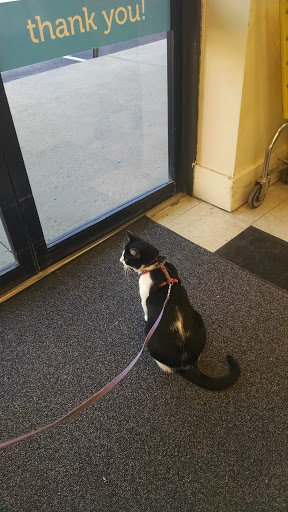 Pet Supply Store «Petco Animal Supplies», reviews and photos, 9687 Kenwood Rd, Blue Ash, OH 45242, USA