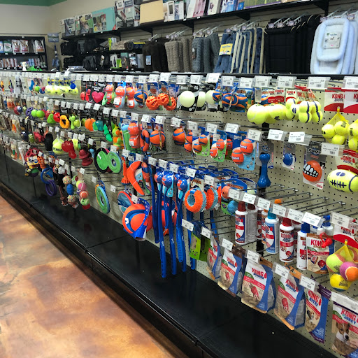 Pet Store «Choice Pet Market», reviews and photos, 2915 W Ray Rd, Chandler, AZ 85224, USA