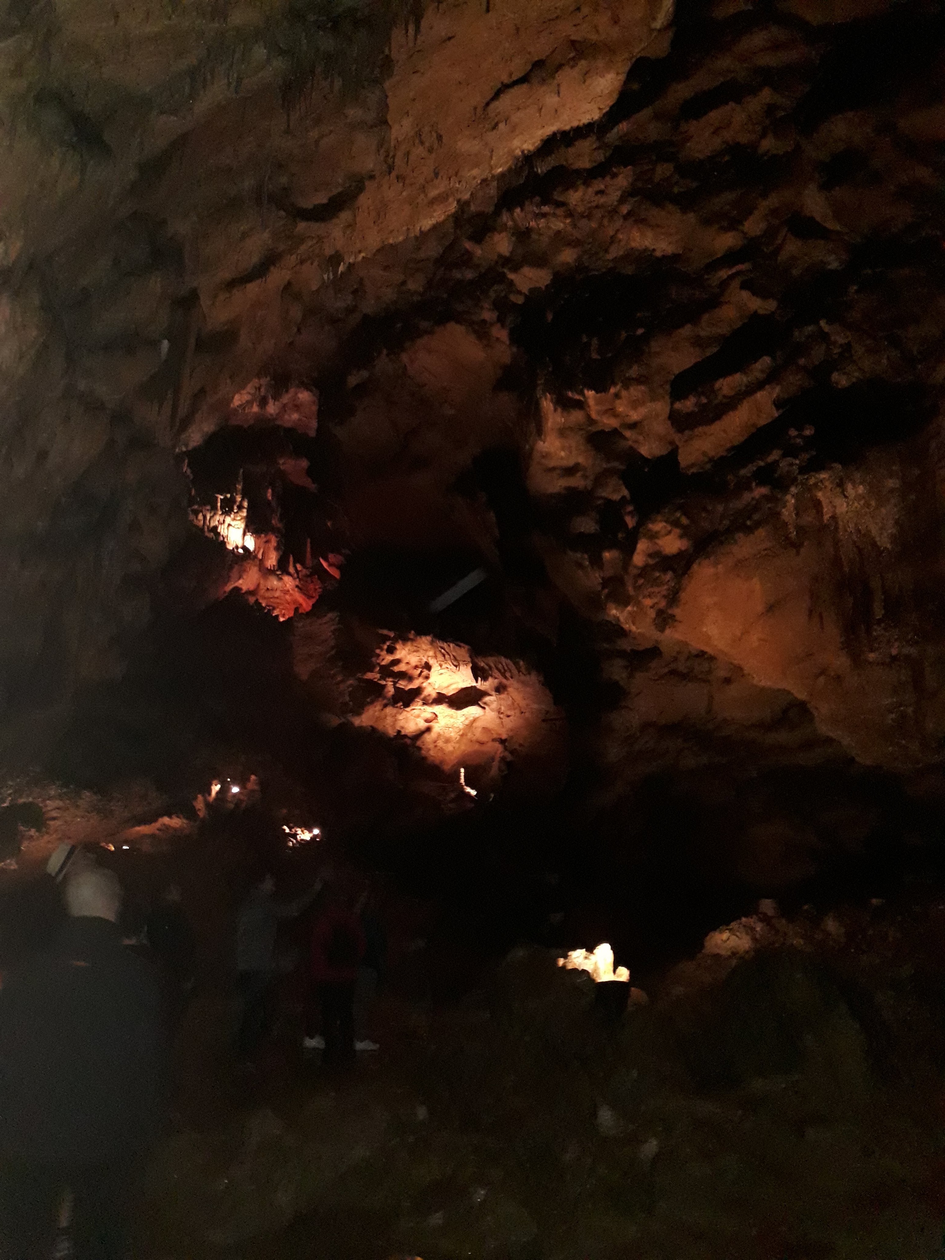 Photo n° 12 de l'avis de Olivier.e fait le 22/04/2018 à 09:12