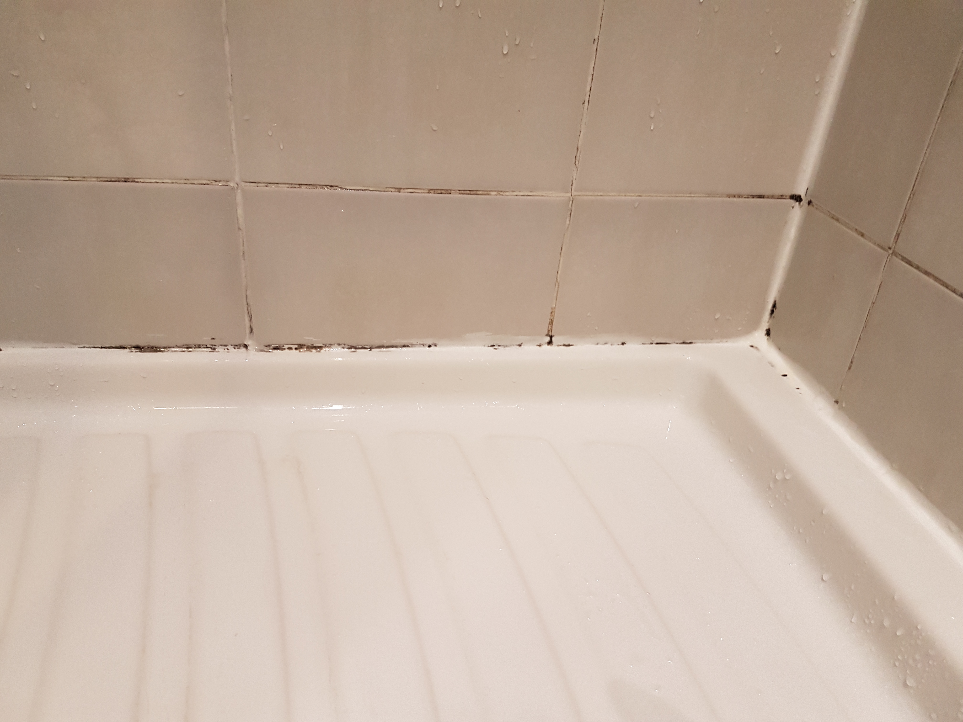 Photo n° 3 de l'avis de Pascal.a fait le 21/09/2020 à 19:20