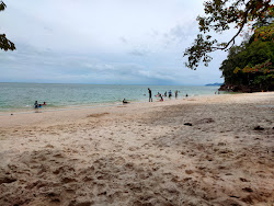 Sandy Skulls Beach'in fotoğrafı imkanlar alanı