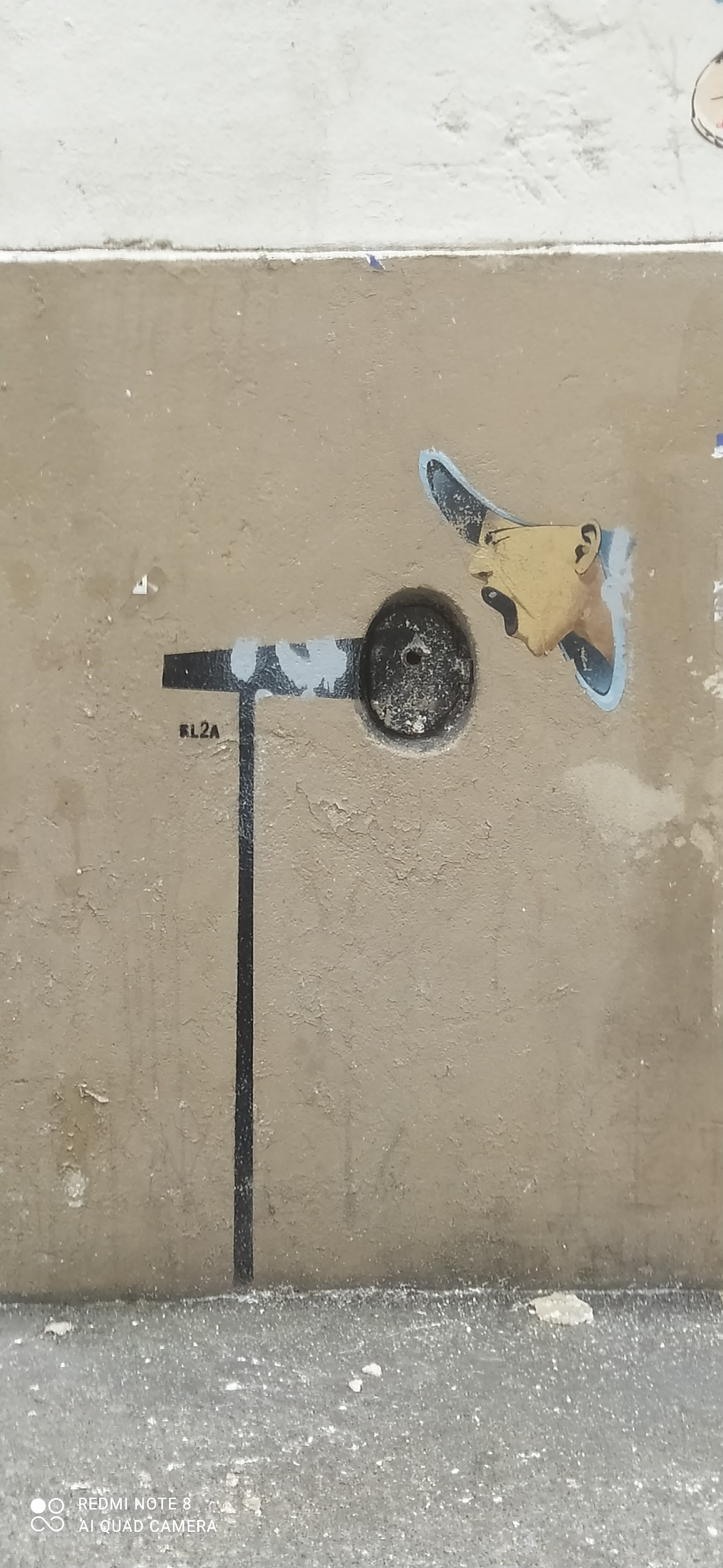 Photo n° 1 de l'avis de Ya'ara.u fait le 24/04/2022 à 14:12