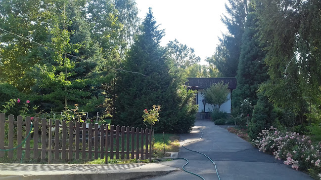 Comentarii opinii despre Kocsár Miklós Zeneiskola és Alapfokú Művészeti Iskola