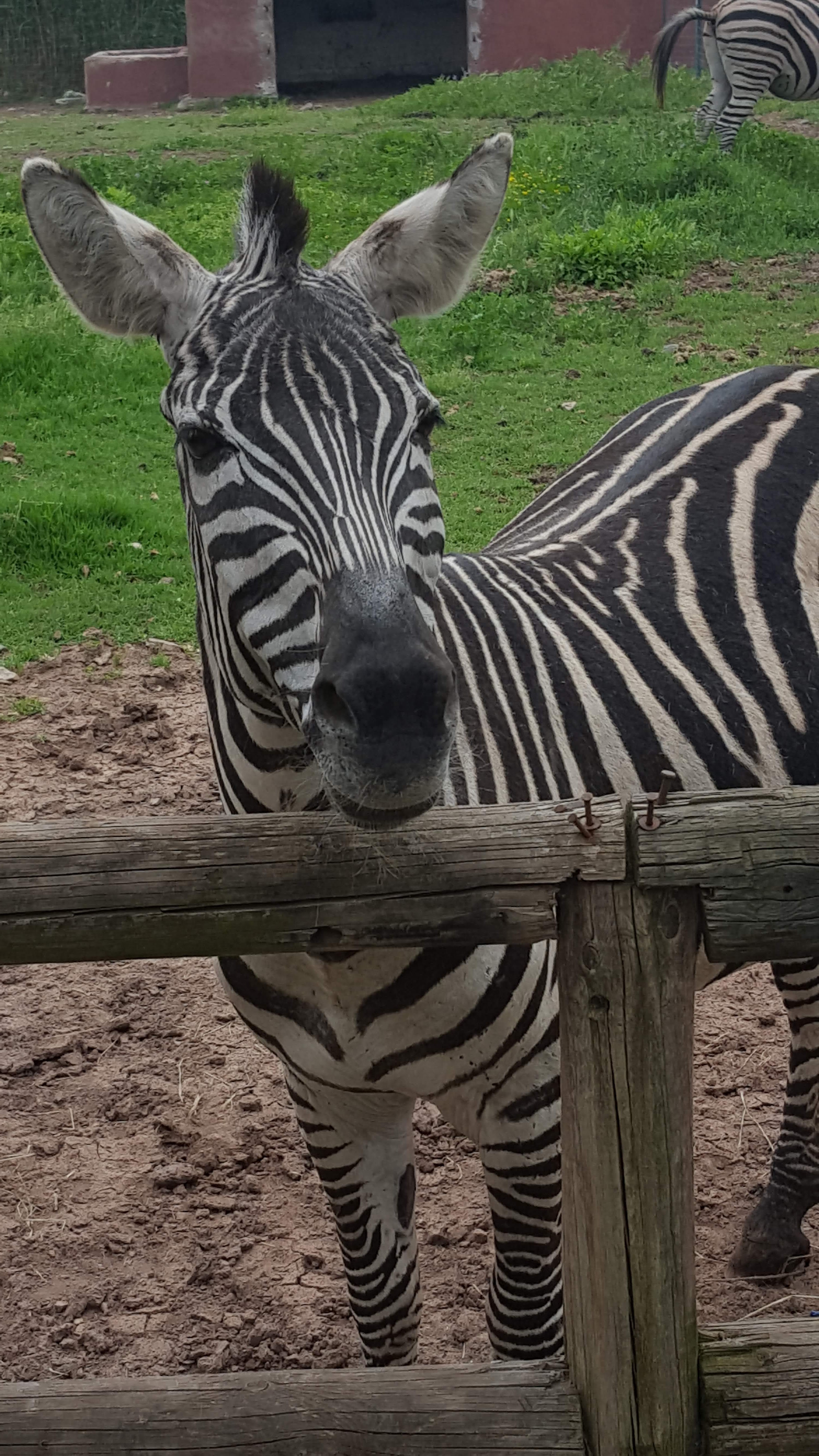 Photo n° 8 de l'avis de Eli. fait le 27/05/2018 à 18:47