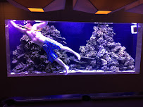 AquaHaus LLC - Photo 2 - Car repair in Springfield, VA, Alexandria