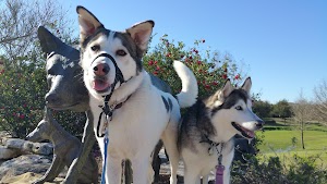 Wolf Pen Creek Park - photo 15