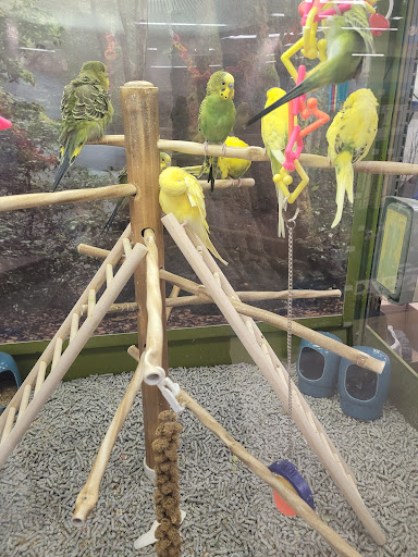 Pet Supply Store «Petco Animal Supplies», reviews and photos, 1622 Clark Street Rd, Auburn, NY 13021, USA