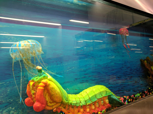 Pet Store «Fins Feathers Paws Claws», reviews and photos, 201 Station Rd, Quakertown, PA 18951, USA