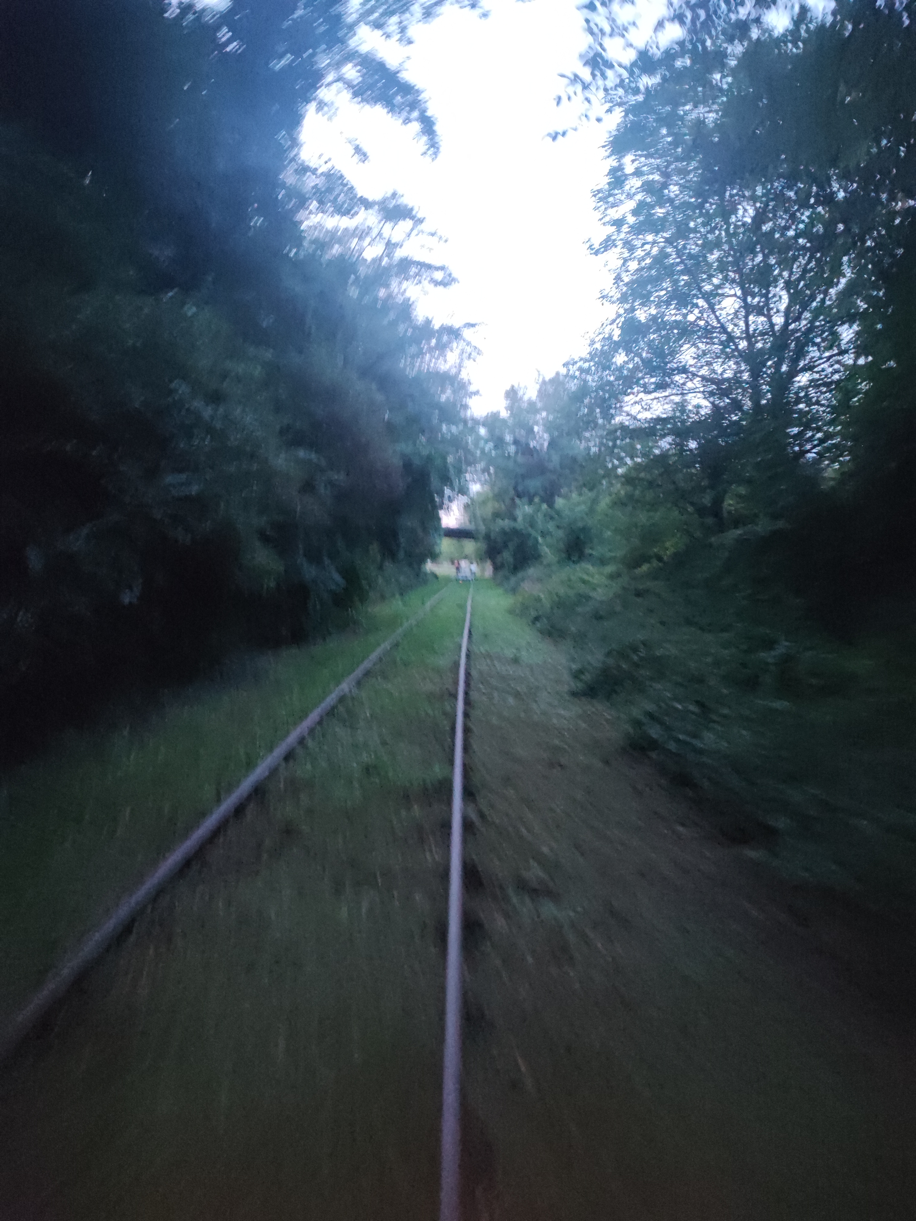 Photo n° 1 de l'avis de DGIGIFRED.G fait le 13/08/2023 à 04:55