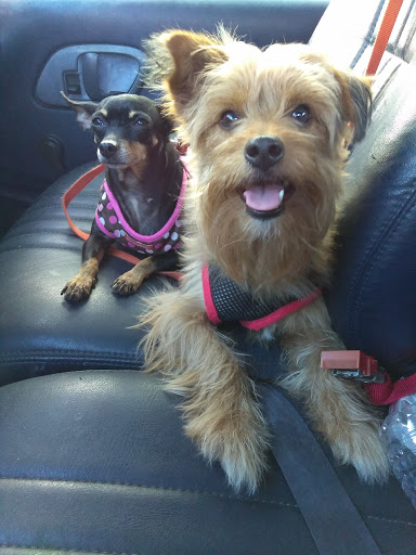 Pet Supply Store «Largo Feed & Garden Supply Inc», reviews and photos, 210 W Bay Dr, Largo, FL 33770, USA