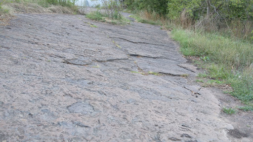 Tourist Attraction «Dinosaur Footprints», reviews and photos, US-5, Holyoke, MA 01040, USA