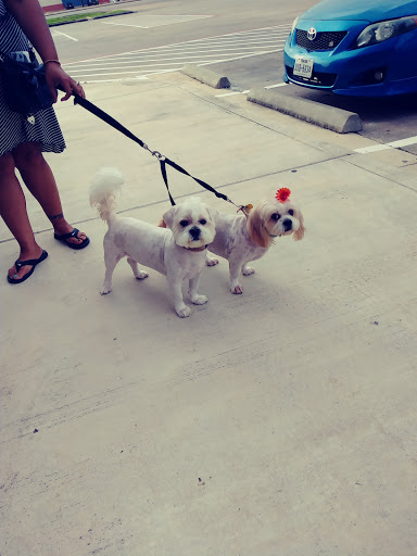 Pet Supply Store «PetSmart», reviews and photos, 2770 FM 365 c, Port Arthur, TX 77640, USA