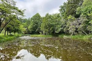 弁財天の池 image