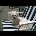 Photo n° 3 de l'avis de Evelyne.e fait le 23/02/2024 à 08:08 pour Clinique Vétérinaire des Drs Tubiana et Cazin à Brignais