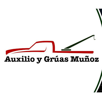 Auxilio y Grúas Muñoz