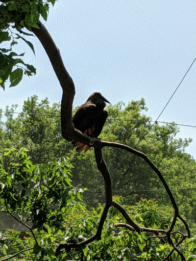 Zoo «Simmons Aviary», reviews and photos, 3701 S 10th St, Omaha, NE 68107, USA