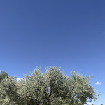 Photo n°4 de l'avis de Maria.a fait le 12/09/2023 à 11:20 sur le  Herdade do Esporão - Enoturismo à Amieira