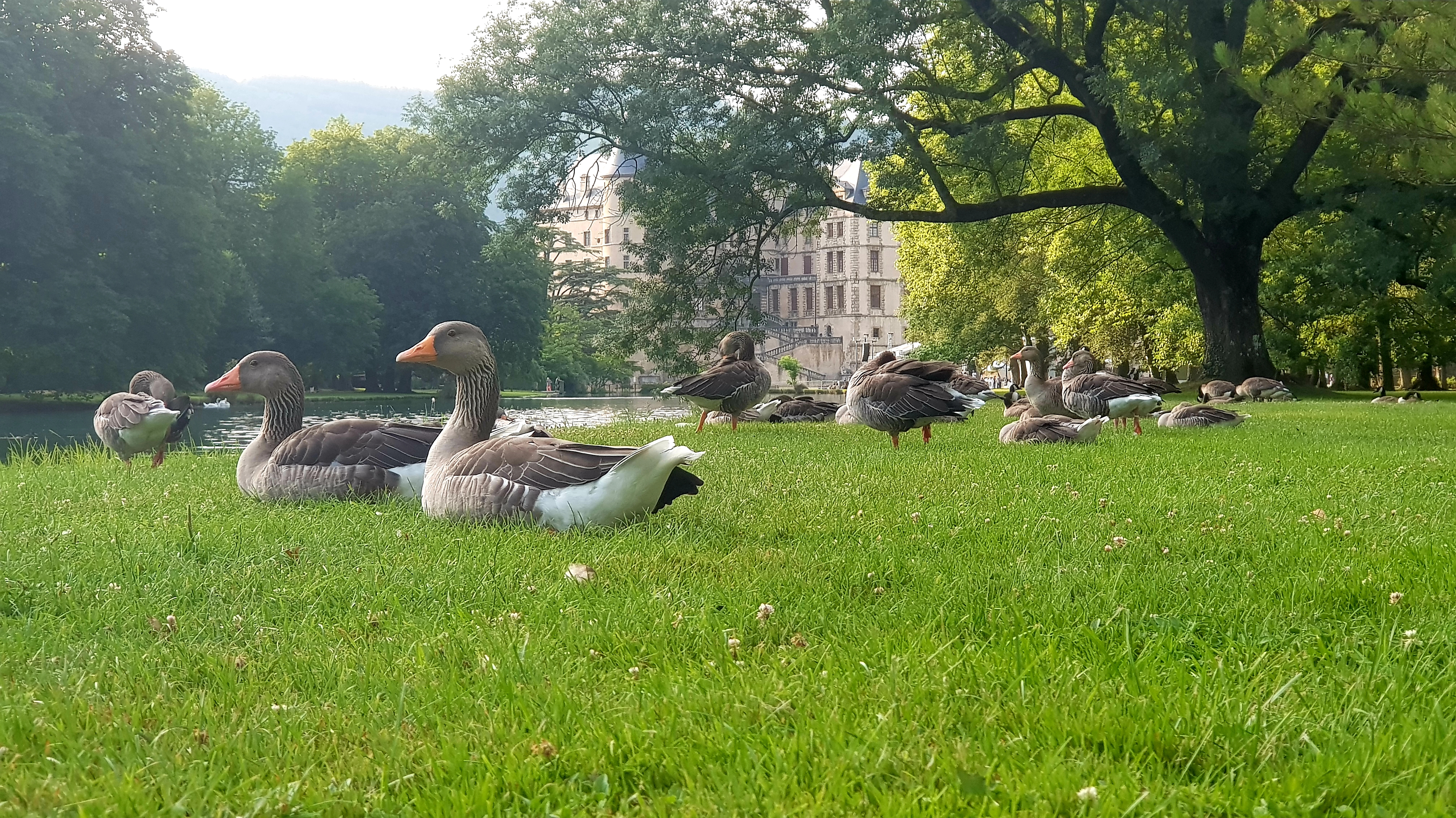 Photo n° 30 de l'avis de Bruno.o fait le 24/07/2019 à 07:55
