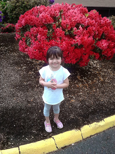 Dog Park «Hazeldale Park/ Dog park», reviews and photos, SW Farmington Rd, Aloha, OR 97007, USA