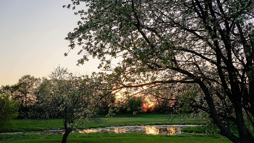 Golf Course «Applewood Hills Public Golf», reviews and photos, 11840 60th St N, Stillwater, MN 55082, USA