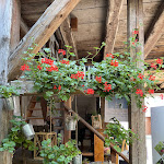 Photo n°4 de l'avis de MAGIC.L fait le 31/07/2021 à 20:00 sur le  Gasthof Stirzer à Dietfurt