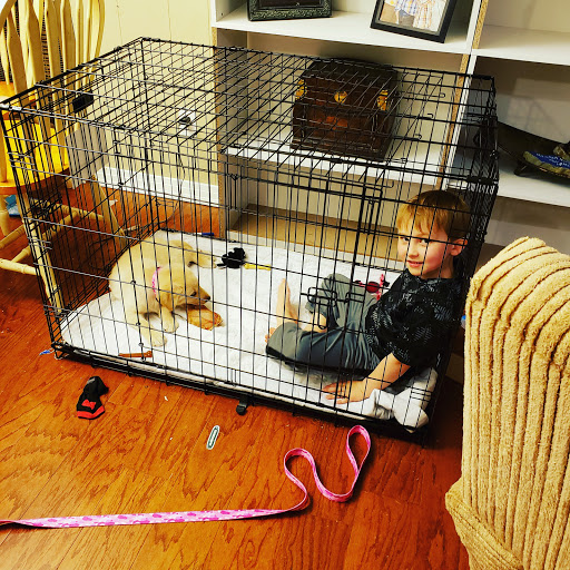 Pet Supply Store «Petsense Corinth», reviews and photos, 1663 Virginia Ln, Corinth, MS 38834, USA