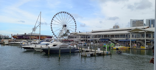 Clothing Store «GUESS», reviews and photos, 401 Biscayne Blvd, Miami, FL 33132, USA