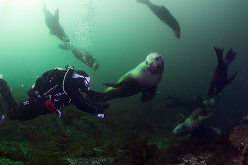 Vancouver Diving Locker