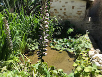 Photos du propriétaire du Restaurant Jardin la buvette à Alet-les-Bains - n°6