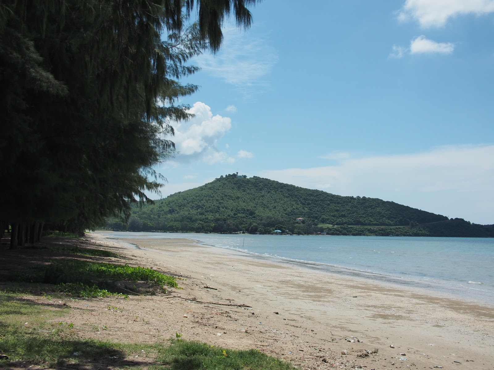 Dongtan beach'in fotoğrafı imkanlar alanı