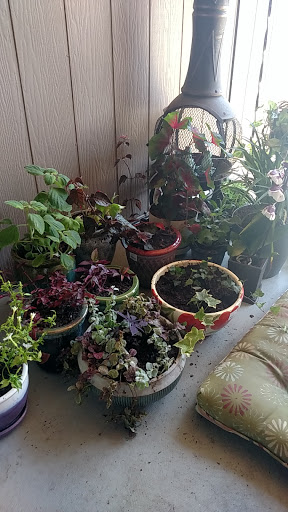 Hardware Store «Westlake Ace Hardware 075», reviews and photos, 11801 S Western Ave, Oklahoma City, OK 73170, USA