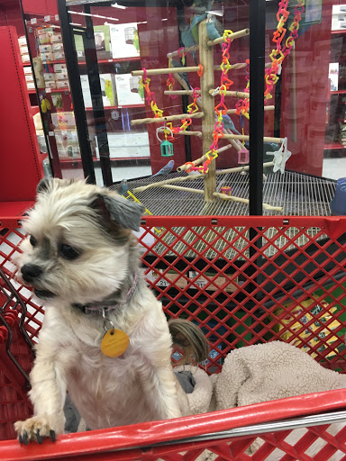 Pet Supply Store «Petco Animal Supplies», reviews and photos, 195 E 12300 S, Draper, UT 84020, USA